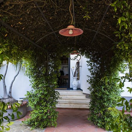 Villa Gio B&B De Charme Montecorice Zewnętrze zdjęcie